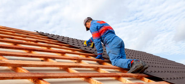 Best Asphalt Shingle Roofing  in El Cerro, NM